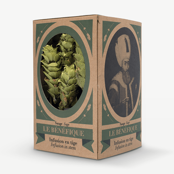 マウンテンセージ