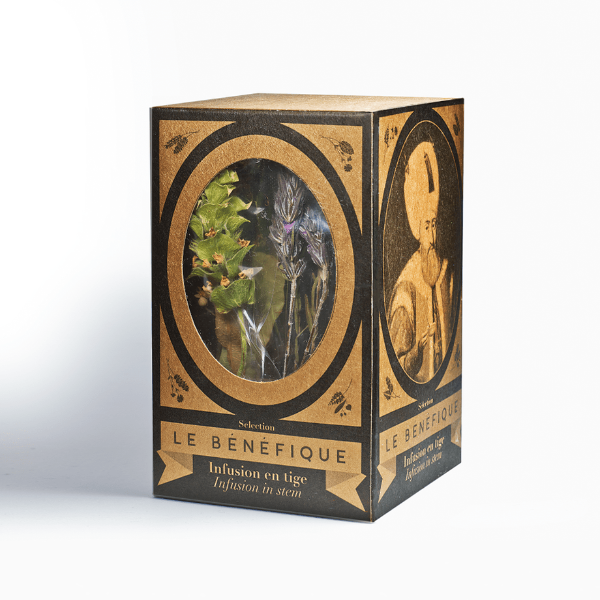 SELECTION（セレクション）